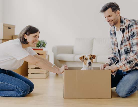 Moving with Pets: A Complete Guide