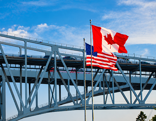 How is Cross-Border Move Different from Domestic and International Moves